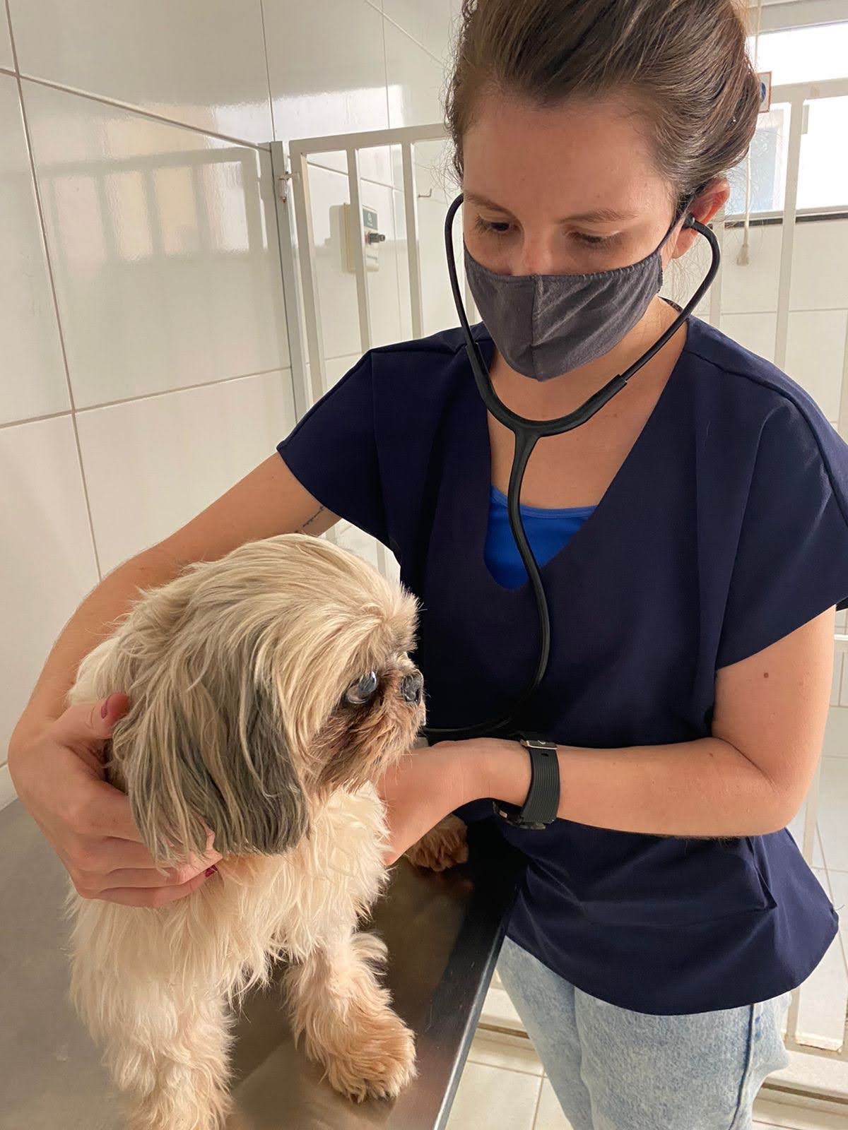 Atendimento veterinário profissional com cuidado e dedicação